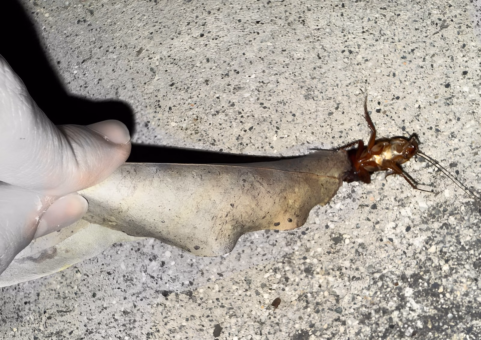 Thousand-Bite Dinner artwork